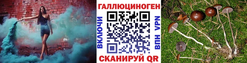 Псилоцибиновые грибы Cubensis  Цивильск 